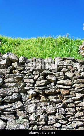 Steinen auf Wandbeschaffenheit, grün und blau Stockfoto