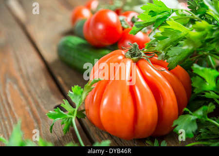 Frische reife Tomaten, Petersilie und Gurken. geringe Tiefenschärfe. Stockfoto