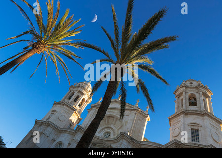 Kathedrale und Palmen Bäume, Plaza De La Catedral, Cádiz, Andalusien, Spanien Stockfoto