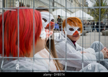 Warschau, Polen. 12. April 2014. Aktivisten von "Open Käfige" Organisation Proteste gegen Legebatterien Geflügel Landwirtschaft am 12. April in Warschau. Vier Personen wurden in Käfig für 24 Stunden gesperrt. Stockfoto