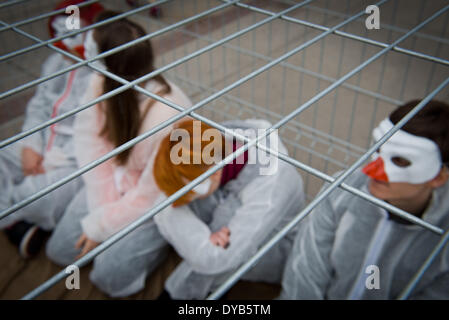 Warschau, Polen. 12. April 2014. Aktivisten von "Open Käfige" Organisation Proteste gegen Legebatterien Geflügel Landwirtschaft am 12. April in Warschau. Vier Personen wurden in Käfig für 24 Stunden gesperrt. Stockfoto