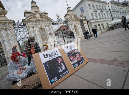 Warschau, Polen. 12. April 2014. Aktivisten von "Open Käfige" Organisation Proteste gegen Legebatterien Geflügel Landwirtschaft am 12. April in Warschau. Vier Personen wurden in Käfig für 24 Stunden gesperrt. Stockfoto