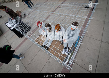 Warschau, Polen. 12. April 2014. Aktivisten von "Open Käfige" Organisation Proteste gegen Legebatterien Geflügel Landwirtschaft am 12. April in Warschau. Vier Personen wurden in Käfig für 24 Stunden gesperrt. Stockfoto