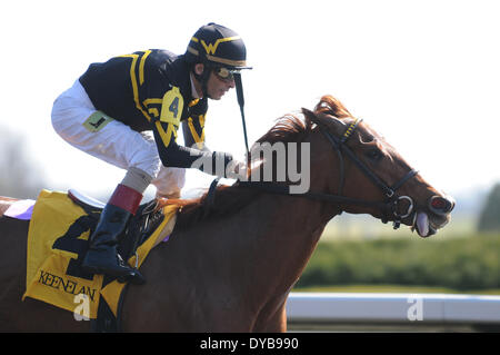 Lexington, KY, USA. 12. April 2014. Aoril 12, 2014: Judy die Schönheit und Jockey John Velazquez gewinnen die G1 Madison S. bei Keeneland für Besitzer und Trainer Wesley Ward.Jessica Morgan/ESW/CSM/Alamy Live News Stockfoto