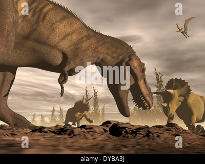 Tyrannosaurus Rex brüllend auf zwei Triceratops auf felsigem Gelände. Stockfoto