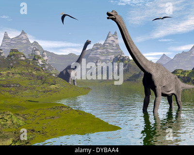 Brachiosaurus Dinosaurier in einem Bach an einem schönen Tag zu Fuß. Stockfoto