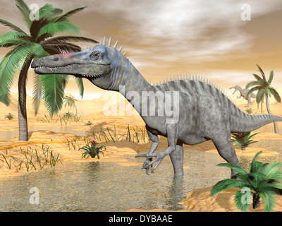 Suchomimus Dinosaurier zu Fuß in das Wasser in Wüstenlandschaft. Stockfoto