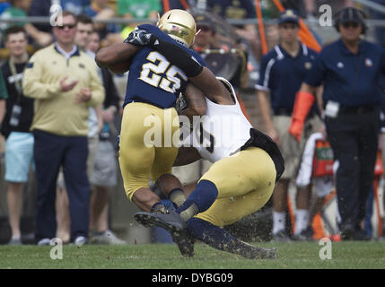South Bend, Indiana, USA. 12. April 2014. 12. April 2014: Notre Dame Linebacker Jaylon Smith (9) befasst sich mit Notre Dame Runningback Tarean Folston (25) während des Spiels Notre Dame blau-goldene Feder im Stadium der Notre Dame in South Bend, Indiana. Bildnachweis: Csm/Alamy Live-Nachrichten Stockfoto