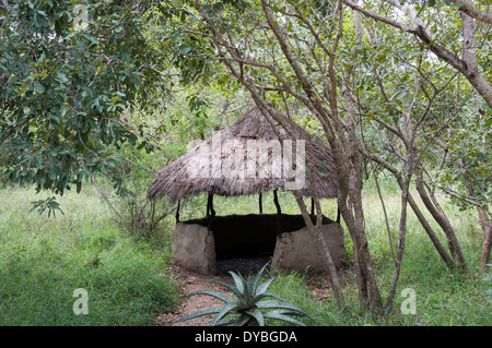 Ländlichen afrikanischen Hütte in Südafrika Natur Stockfoto