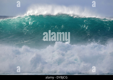 Perfekte Riesenwelle in Pipeline, Ehukai Beach, North Shore von Oahu, Hawaii, USA Stockfoto