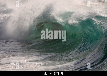 Riesige Wellen brechen in Waimea Bay Beach, North Shore, Oahu, Hawaii, USA Stockfoto