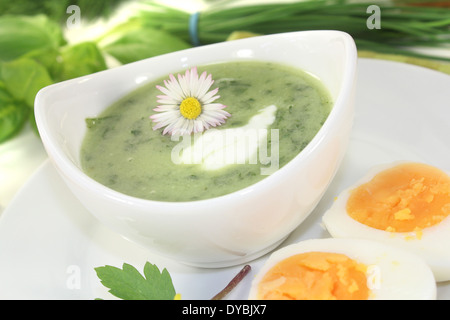 frische Kräuter-Suppe mit Eiern und einem Klecks Sahne Stockfoto