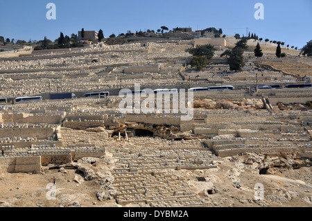 Reisebusse und Gräber auf dem jüdischen Friedhof von dem Ölberg, Jerusalem, Israel Stockfoto