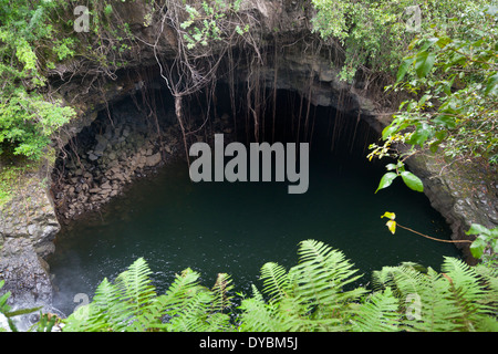 Kleiner Wasserfall und Grotte auf dem Weg zu den berühmten Waimoku Falls in Maui, Hawaii. Stockfoto