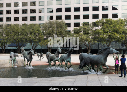 Die Bronze "Mustangs von Las Colinas" in Williams square Irving, Texas Stockfoto