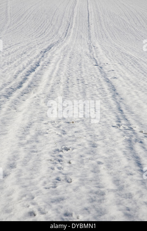 Winter-Schnee-Szene zeigt Nahaufnahme von Traktor-Reifen Spuren in einem überdachten Schneefeld Stockfoto