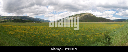 Abruzzen, Italien - 12. Juni 2012: Panorama-Landschaft der blumig-Ebene Stockfoto