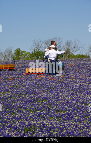 Paar mit Kindern und Waggons fotografieren in einem Feld von Texas Bluebonnets entlang der Texas Farm-to-Market Road 362 in Whitehall, Texas. Stockfoto