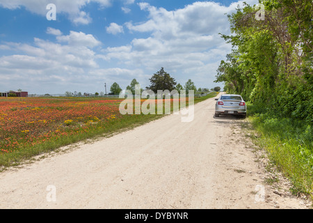 Silbernes Auto auf unbefestigten Straßen mit Feldern von Texas Wildblumen einschließlich Indian Paintbrush im Old Baylor College State Park in Independence, Texas. Stockfoto