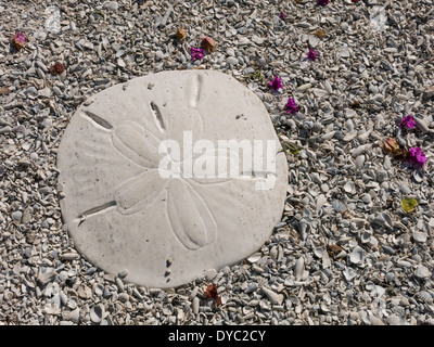 Sanddollar Lawn Ornament, Kindergarten Display Area, Florida, USA Stockfoto