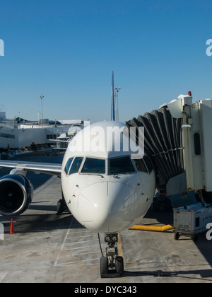 Flugzeuge am Flughafen-Gate, Tampa, Florida, USA Stockfoto