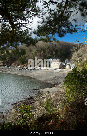 Helford River Porträt, Durgan Stockfoto