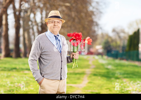 Senioren männlich holding Bouquet von roten Tulpen im park Stockfoto