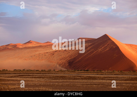 früh morgens in den Dünen von Sossusvlei in der Wüste Namib, Namib Naukluft Park, Namibia, Afrika Stockfoto