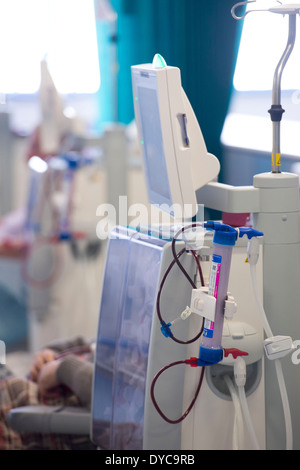 Eine Niere Dialysepatient erhält Behandlung von Nierenversagen in einem NHS Krankenhaus. Stockfoto