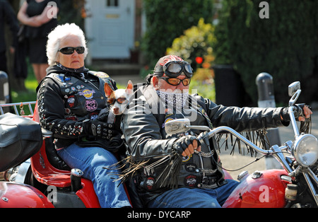 Motorrad-Enthusiasten und ihren Hund Fahrrad ihr bei einem Freund Barry Flood Beerdigung in Ringmer Sussex UK Stockfoto