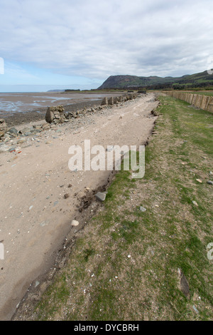 Wales Küstenweg in Nord-Wales. Das erodierte Ufer auf Wales Coast Path zwischen Llanfairfechan und Bangor. Stockfoto
