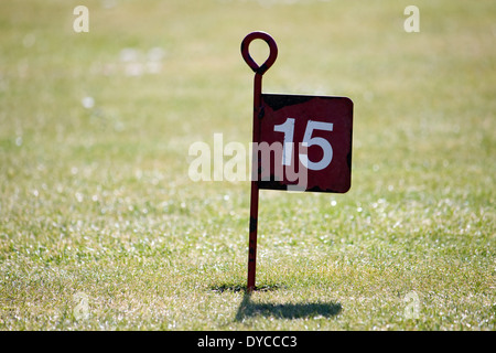 Metallstift für Loch Nummer 15 auf einem öffentlichen Puttinggreen. Stockfoto