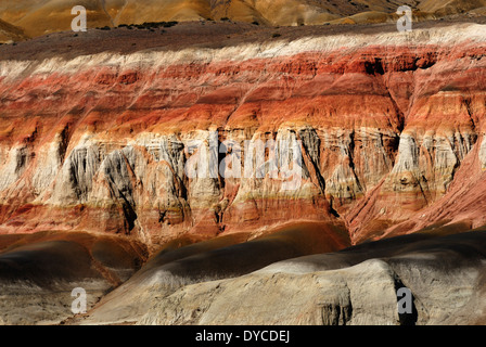 Der versteinerte Wald "José Ormachea', Sarmiento, Provinz, Chubut, Patagonien, Argentinien, Südamerika Stockfoto