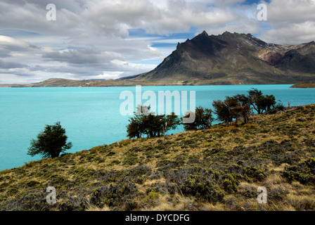 Halbinsel und See Belgrano, Nationalpark Perito Moreno, südlichen Anden Patagoniens, Santa Cruz, Argentinien Stockfoto