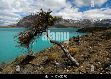 Halbinsel und See Belgrano, Nationalpark Perito Moreno, südlichen Anden Patagoniens, Santa Cruz, Argentinien Stockfoto