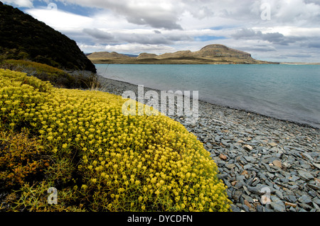 Halbinsel und See Belgrano, Nationalpark Perito Moreno, südlichen Anden Patagoniens, Santa Cruz, Argentinien Stockfoto