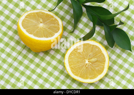 Zitrone-Hälften auf grün kariertes Tuch Stockfoto