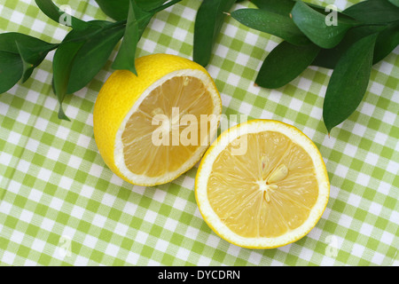 Zitrone-Hälften auf grün kariertes Tuch Stockfoto