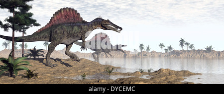 Zwei Spinosaurus Dinosaurier zu Fuß mit dem Wasser in eine Wüstenlandschaft. Stockfoto