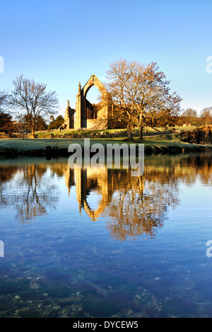 Bolton Priorat spiegelt sich in den Fluß Wharfe, Yorkshire dales Stockfoto