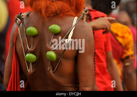 Dhaka, Bangladesch. 14. April 2014. Charak Puja ist eines der ältesten Festivals in Bangladesch der hinduistischen Religion. Es begann vor sehr langer Zeit in Bangladesch sondern in Dhaka City, ist es das erste Mal dieses Fest gefeiert. Heute ist auf dem Gebiet der Pogoj Schule in Sakharibazar, das Festival gefeiert. Charak-Puja ist eine ganz bezaubernde Volksfest der südlichen Gürtel von Bangladesh und Westbengal. Es ist auch bekannt als "Nil Puja". Die Gläubigen der hinduistischen Religion feiern dies am letzten Tag des Monats Chaitra (in bengalischer Kalender genannt Choitro). Bildnachweis: Pazifische Presse/Alamy Live Stockfoto