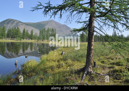 See in Jakutien, die sich in den umliegenden Bergen Wasser und Lärche. Stockfoto