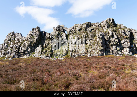 Die Stiperstones in Shropshire, die Formen einer felsigen Wirbelsäule entlang einer Kante und ist bei Wanderern sehr beliebt Stockfoto