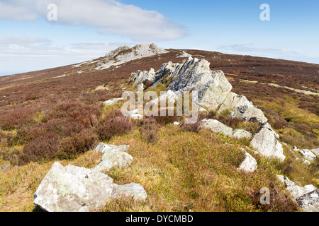 Die Stiperstones in Shropshire, die Formen einer felsigen Wirbelsäule entlang einer Kante und ist bei Wanderern sehr beliebt Stockfoto