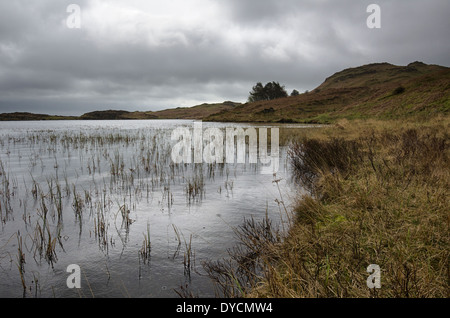 Leuchtfeuer Tarn in Blawith Fells, Lake District an einem regnerischen bewölkten Tag. Stockfoto