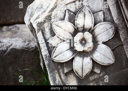 Details auf dem Forum Romanum, Rom, Italien Stockfoto