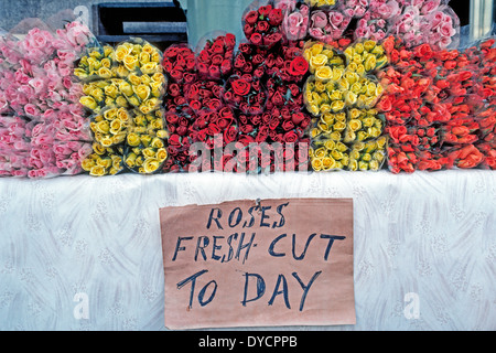 Trauben von pink, gelb, rot und orange Rosen, die als "Fresh-Cut heute" beworben werden gestapelt auf einem Tisch in ein outdoor-Markt in London, England. Stockfoto