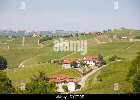 Weinberge und Panorama vom Schloss von Barolo, Barolo Dorf, Cuneo, Langhe, Piemont, Italien, Europa Stockfoto