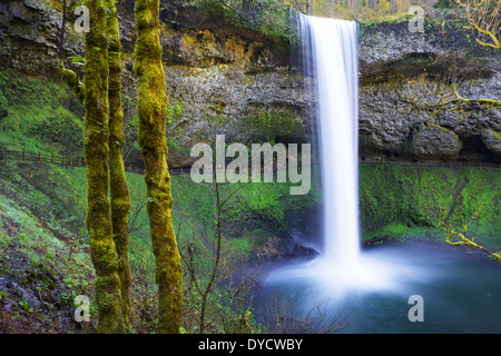 Süden fällt am Silver Falls Park in Oregon mit Wasser fallen in einen Teich mit langsamen Exposition durchgeführt Stockfoto