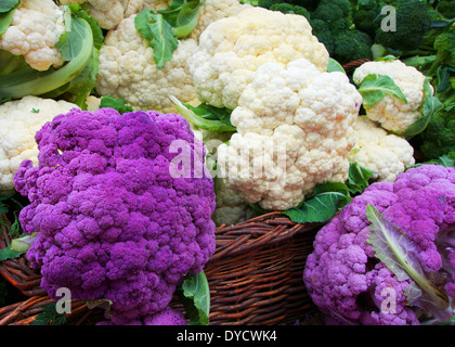 Weiß und lila Blumenkohl im Stroh Korb auf dem Bauernmarkt Stockfoto